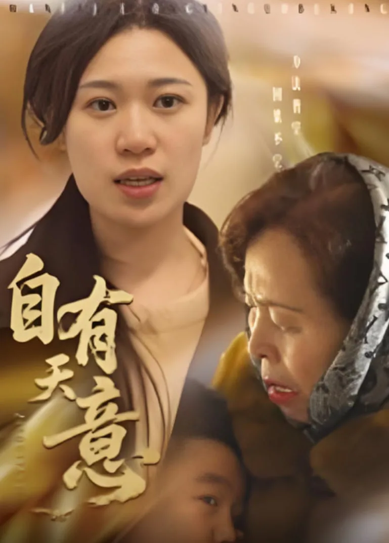 自有天意海报