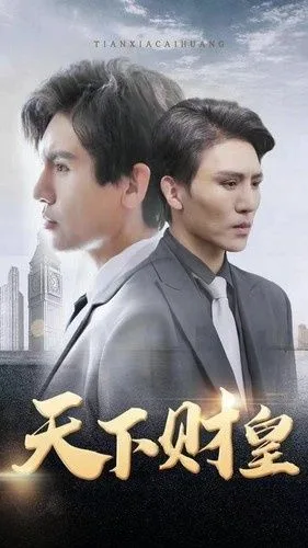 天下财皇海报