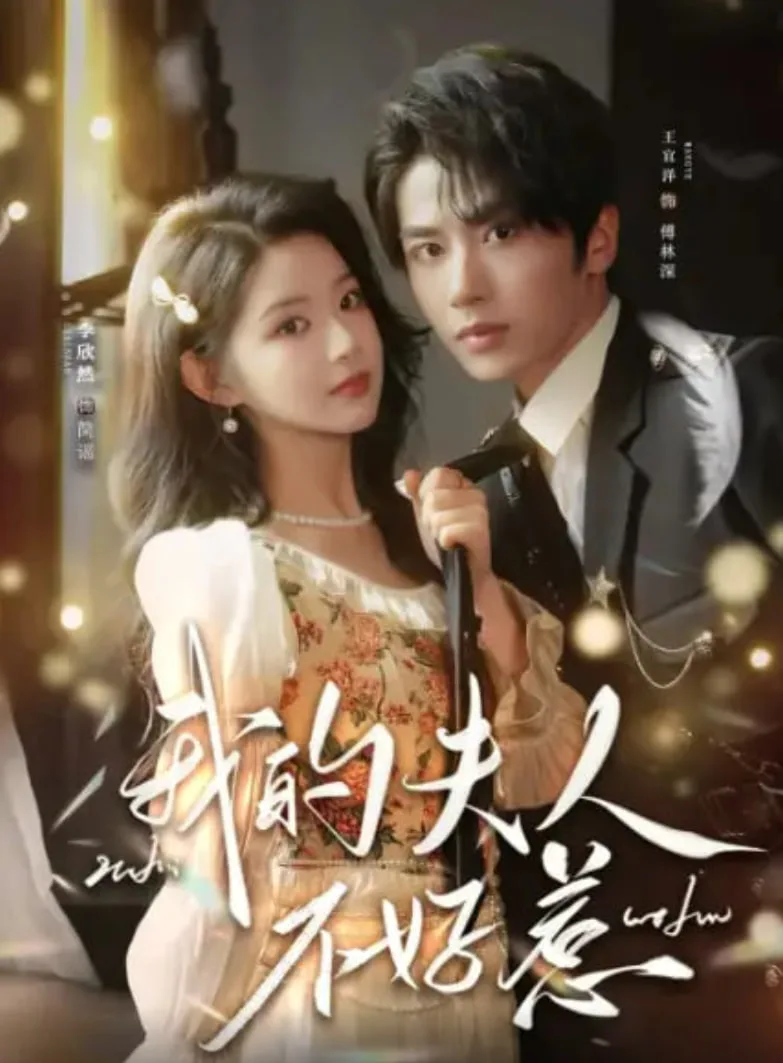 你好我的旅长夫人 (我的夫人不好惹)海报