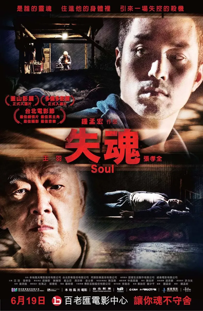 失魂 2013海报