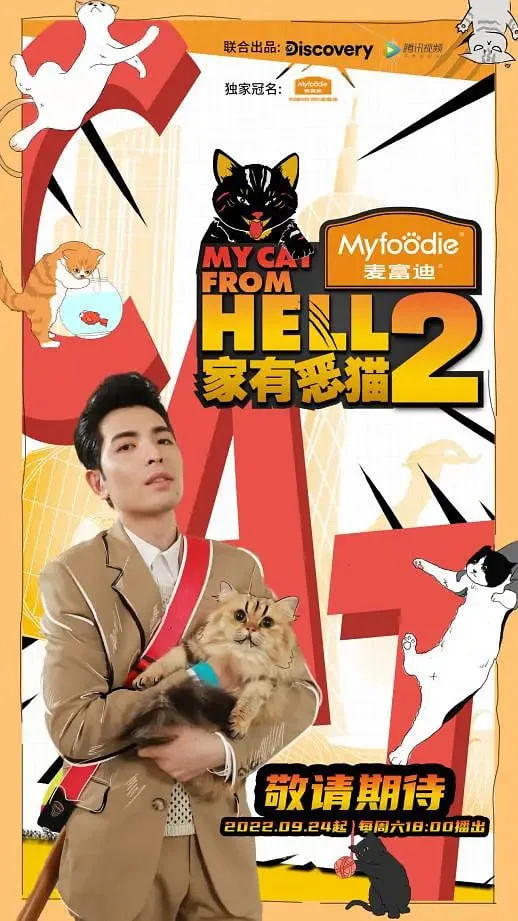 家有恶猫2海报