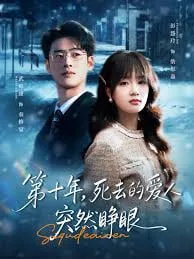 第十年，死去的爱人突然睁眼海报