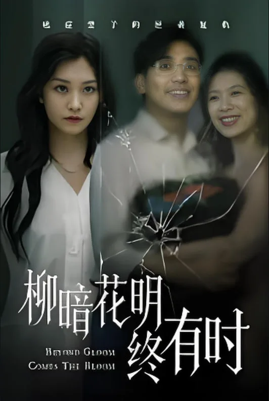 柳暗花明终有时海报