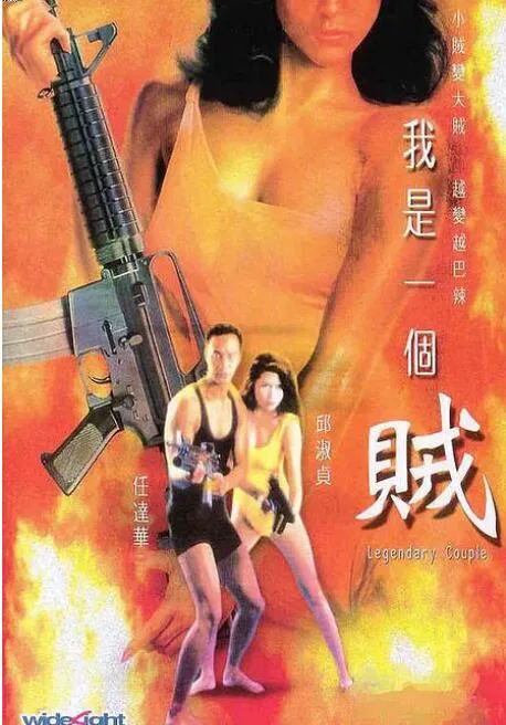 我是一个贼海报