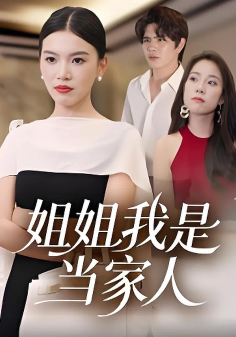 姐姐我是当家人海报