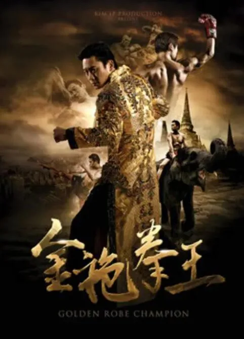 金袍拳王海报