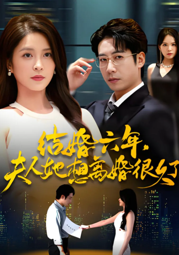 结婚六年夫人她想离婚很久了海报