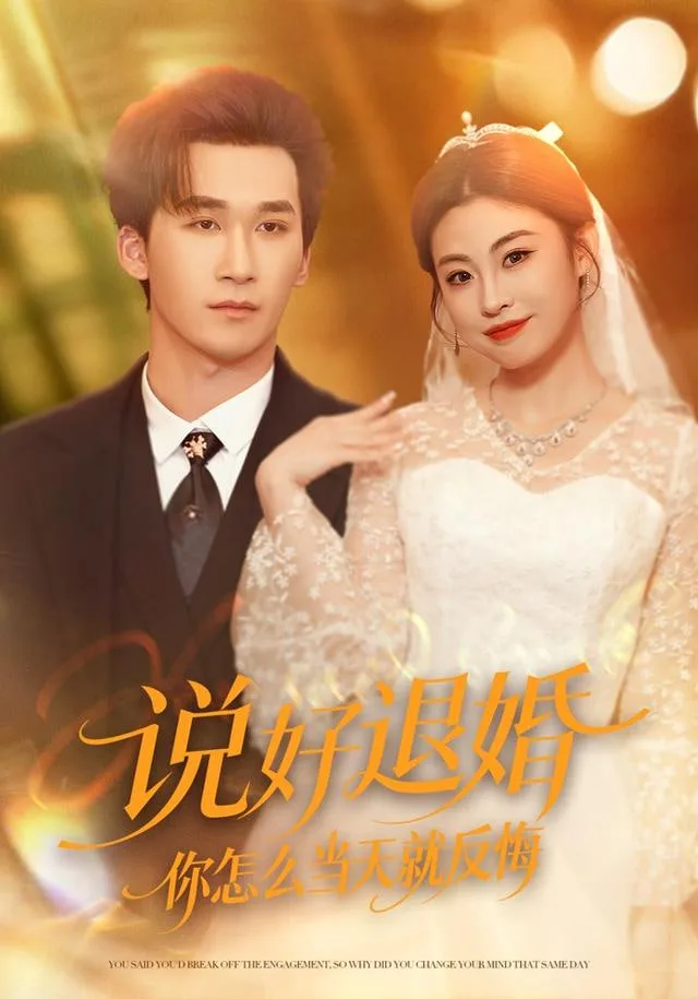 说好退婚你怎么当天就反悔海报