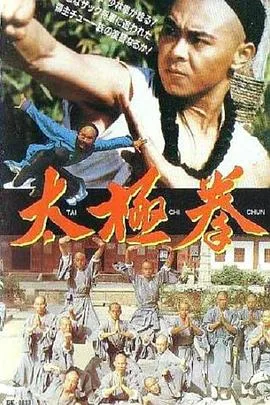 太极拳海报