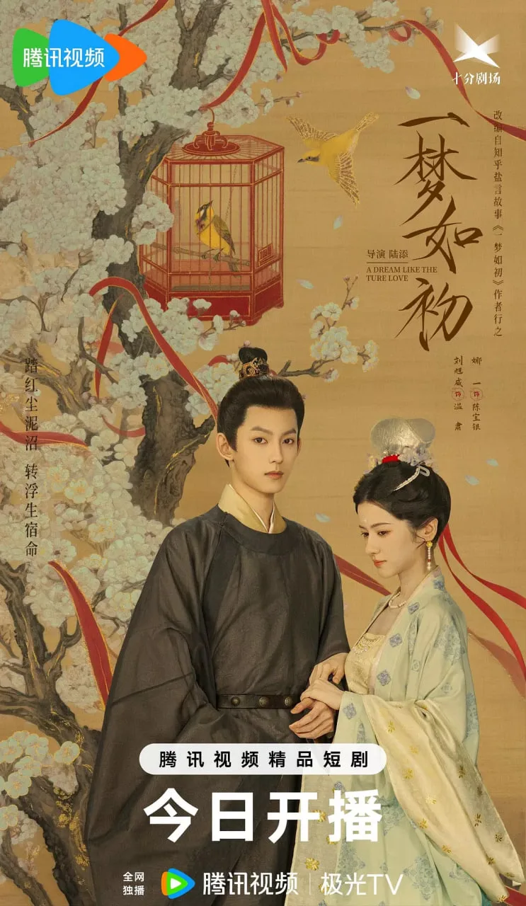 一梦如初海报