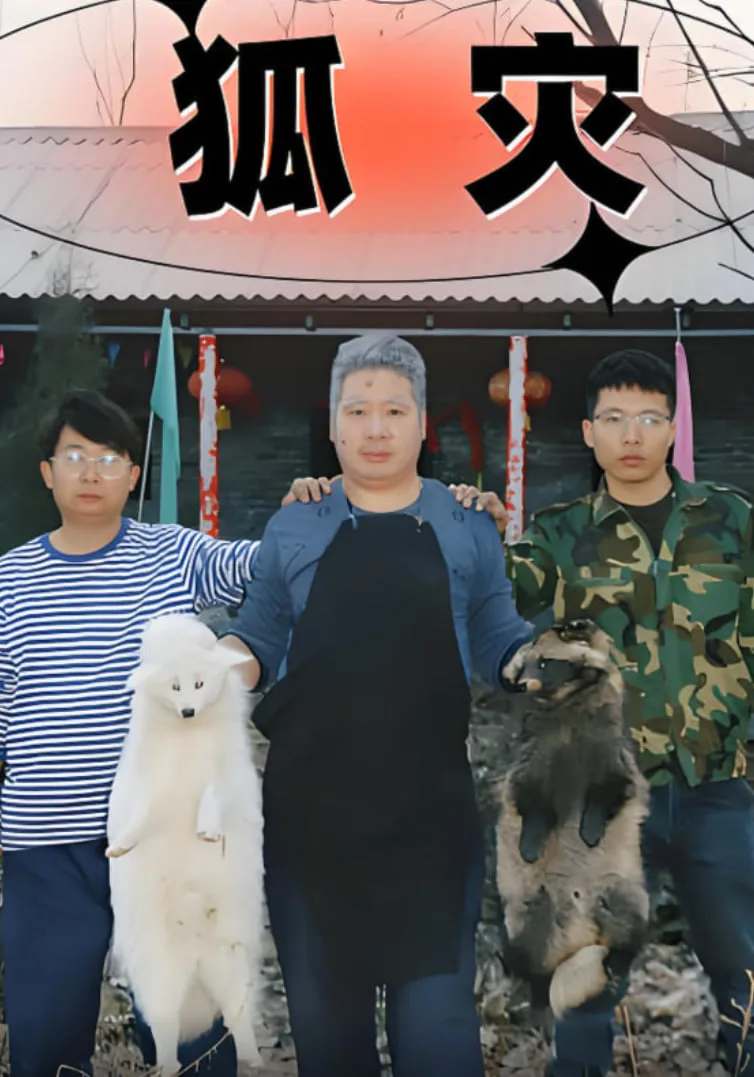 狐灾海报