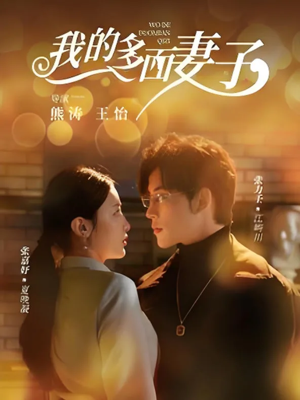 我的多面妻子海报