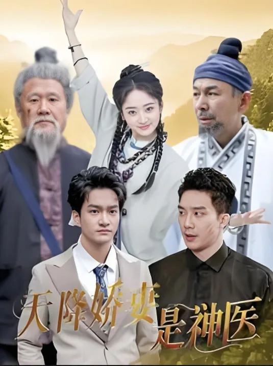 天降娇妻是神医海报
