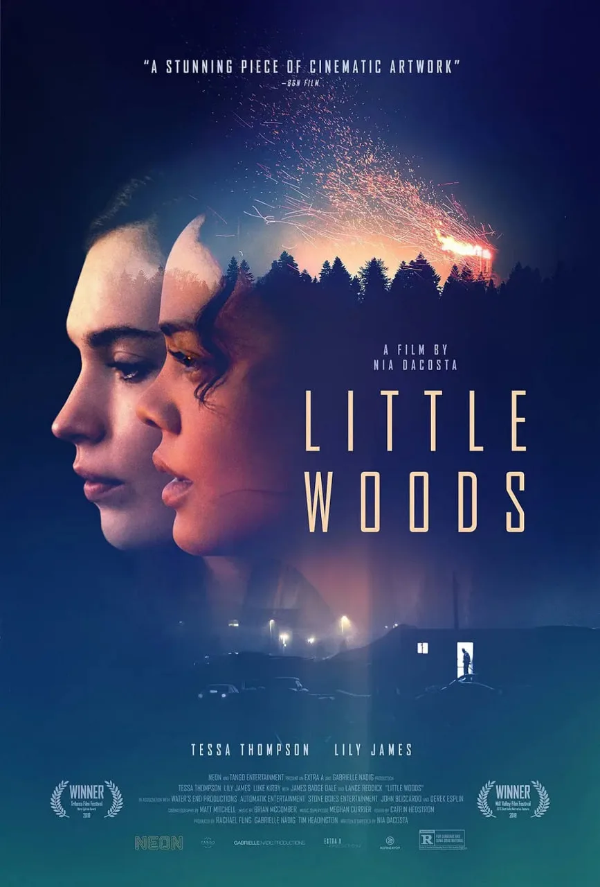 小森林 2019海报