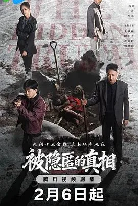 被隐匿的真相海报