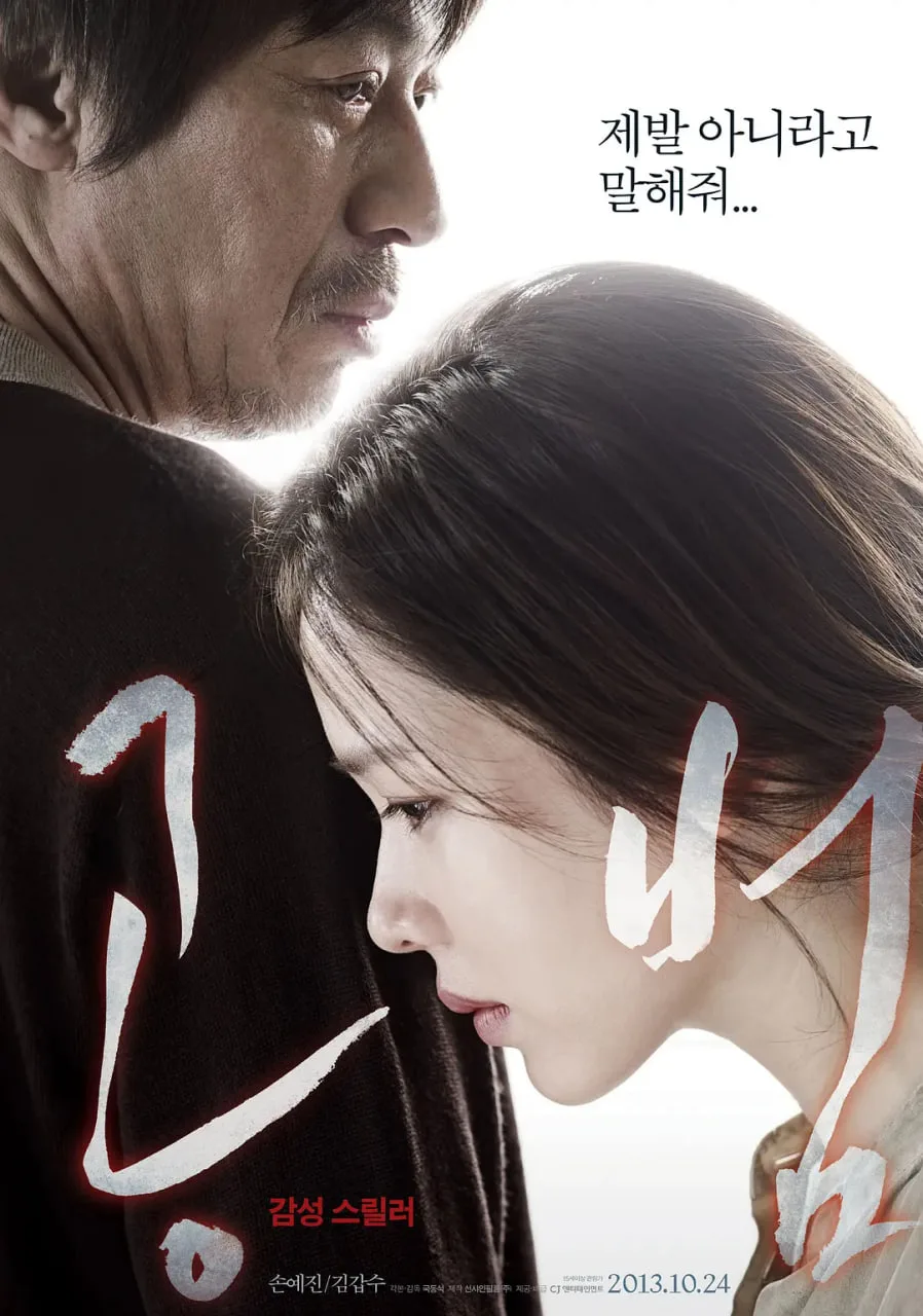 共犯 2013海报